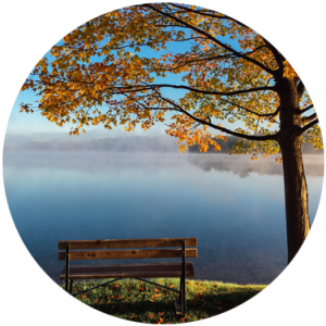 wellbeing - Fresh Air Fridays